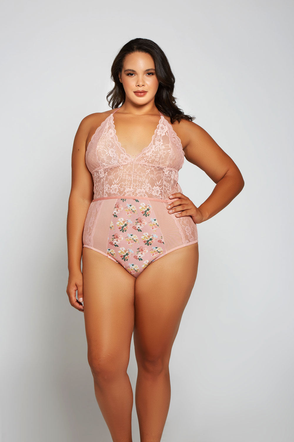 Peony Teddy Icollection iCollection 85024X